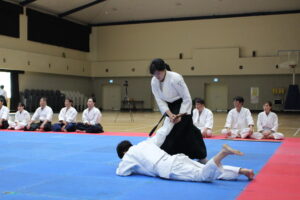 The Outlook for Aikido